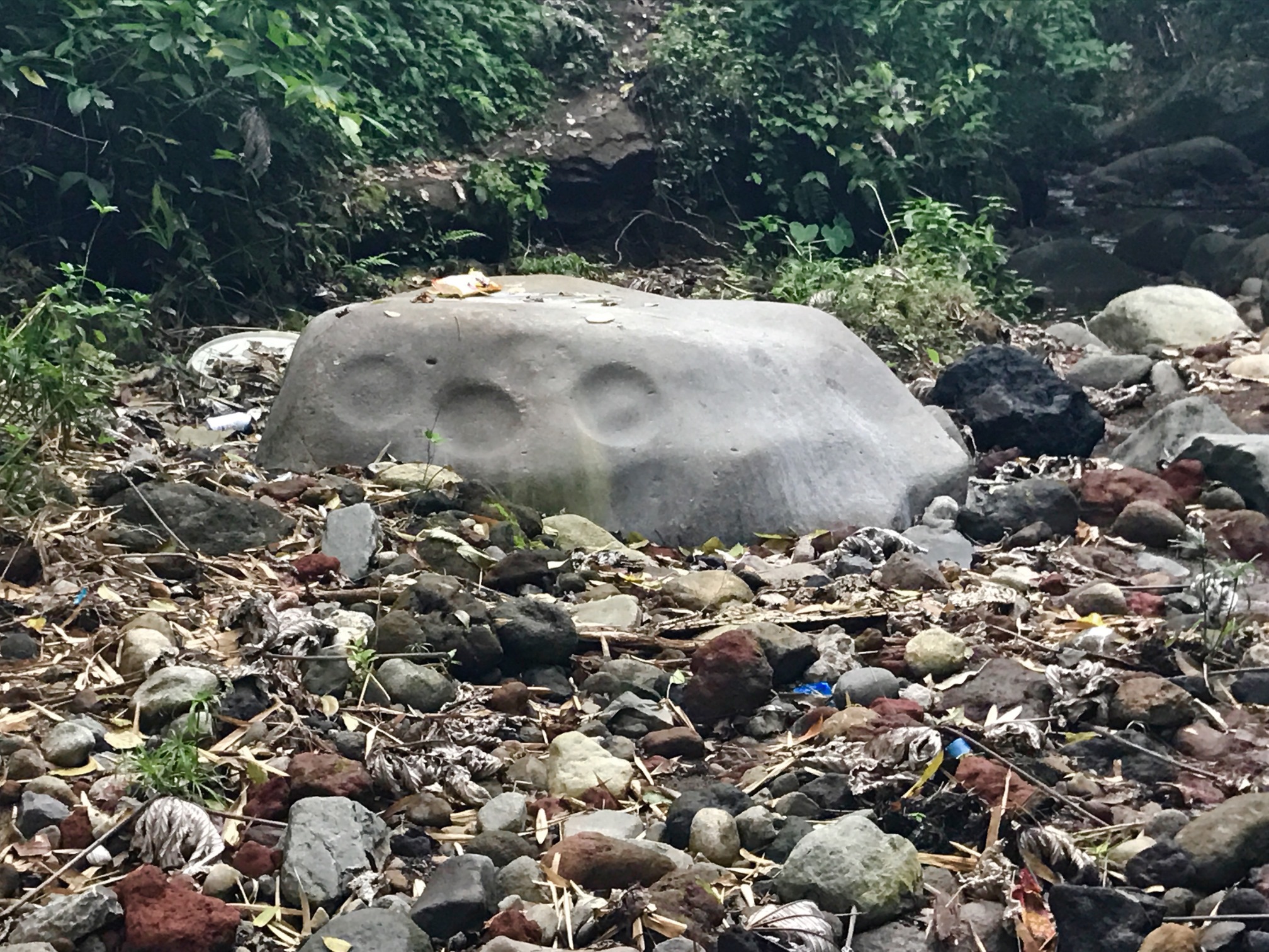 An Amerindian workstone with rounded cupules near the Mt. Rich Carib Stone
